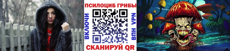 где купить наркотик  Пикалёво  KRAKEN рабочий сайт  Галлюциногенные грибы мицелий 